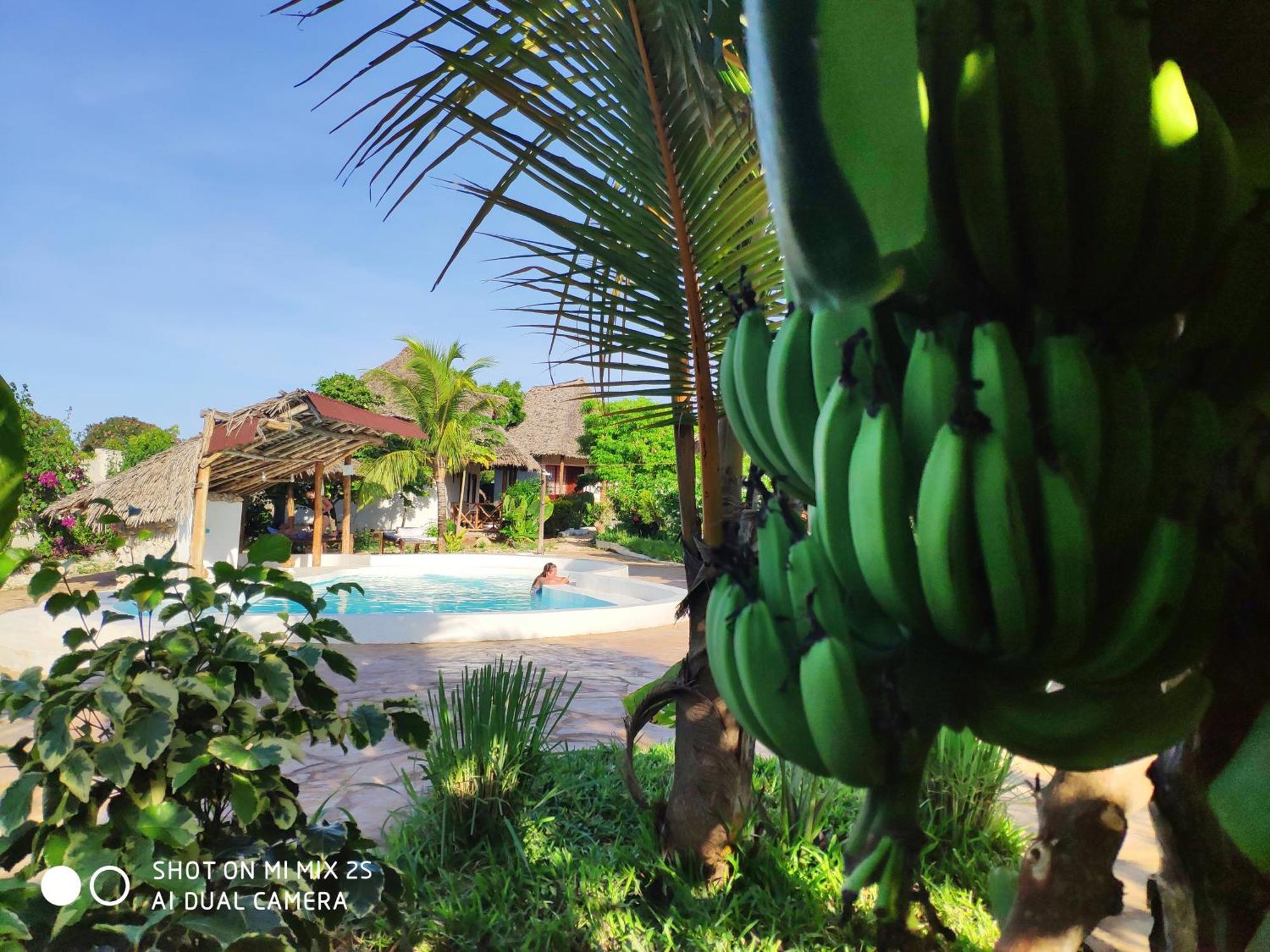 Hotell Mawimbi Nungwi
